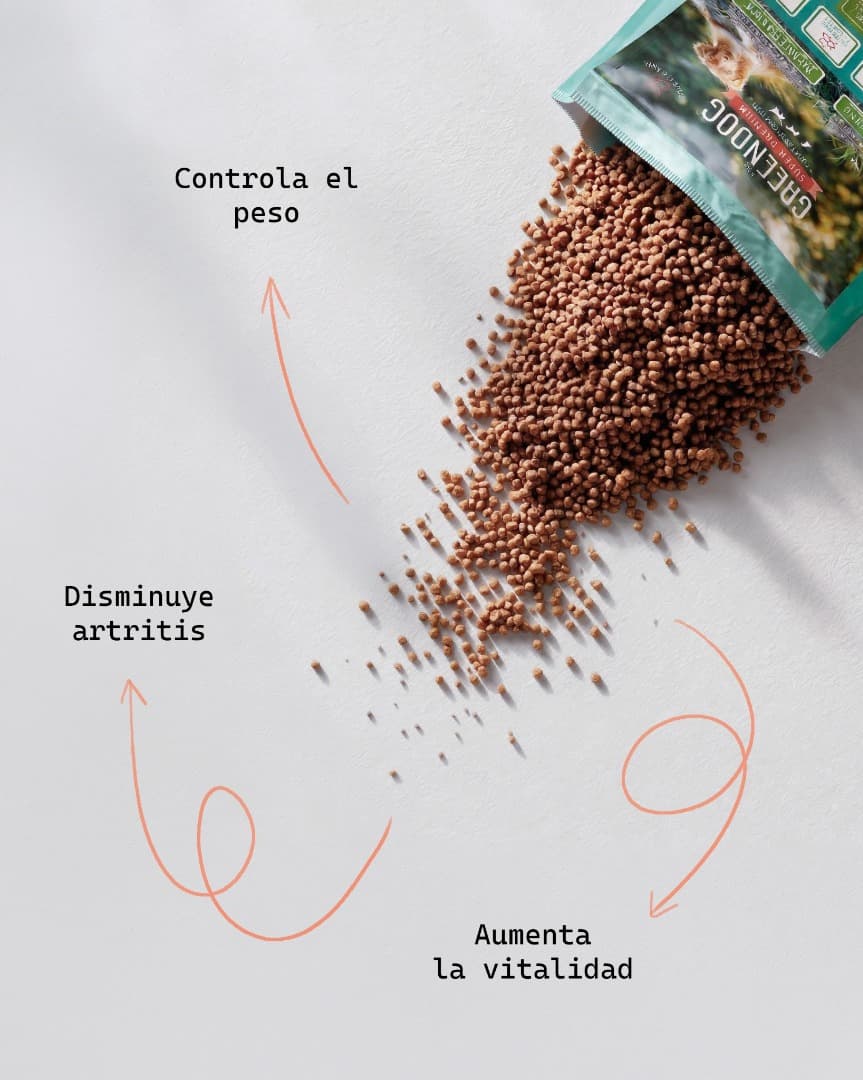 Alimento Greendog Adulto Mordida Grande 3KG 3